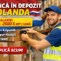 Muncitor în Depozit Olanda – Salariu 2000-2500 € Net / Lună + Cazare
