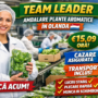 🌿 Team Leader Ambalare Plante Aromatice – Olanda (Etten-Leur)