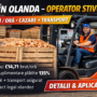 🚜 Operator stivuitor diesel – procesare ceapă | Ossendrecht, Olanda