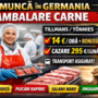 Muncitori Necalificați Ambalare Carne Germania – 14€/oră + Cazare | Angajare Directă Tillmans