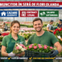 Muncitor în Seră de Flori Olanda – Contract Legal, Cazare Asigurată, Salariu Săptămânal