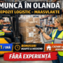 🔥 Locuri de muncă în Olanda – Depozit Logistic (Maasvlakte, lângă Rotterdam)