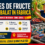 Cules de Fructe și Ambalat în Fabrică – Locuri de Muncă în Spania, Zona Lerida