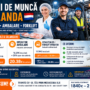 Locuri de Muncă în Olanda – Producție, Ambalare & Forklift | Salarii de până la 650€/Săptămână Net