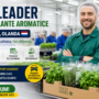 Team Leader Ambalare Plante Aromatice – Etten-Leur, Olanda 🇳🇱