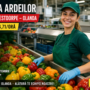 Sortarea ardeilor în Olanda – Loc de muncă în hală | Salariu €14,71/oră | Cazare și transport asigurate