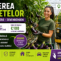 Tăierea vinetelor în Olanda – Loc de muncă în seră | Zevenbergen | Salariu €14,71/oră + Bonusuri