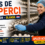 Cules de Ciuperci în Olanda – Oudenmolen | Salariu €14,71/oră + Bonusuri
