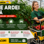 Tăierea Ardeilor în Seră – Loc de Muncă în Olanda 2026