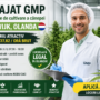 Angajat GMP în companie de cultivare a cânepei – Waalwijk, Olanda