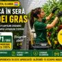 Ruperea și răsucirea plantelor de ardei în Olanda – Loc de muncă în seră Terneuzen