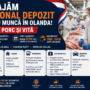 🔴 Angajăm Personal Depozit Olanda – Abator Porc și Vită | Salariu până la 2000€ NET | Plecări Săptămânale