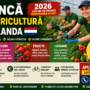 🌱 ANGAJĂM PERSONAL PENTRU AGRICULTURĂ ÎN OLANDA 2026 🌱