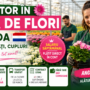 Muncitor în Seră de Flori Olanda – Angajări 2026 | Salariu Săptămânal, Cazare și Transport Asigurat