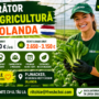 Lucrător în Agricultură în Olanda – 17,50 € Brut/oră | 2.650 – 3.150 € Brut/lună | Contract Direct | Cazare Asigurată