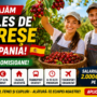Angajăm la Cules de Cireșe în Spania – Contract Spaniol, Cazare Gratuită și Transport Asigurat