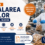 Ambalarea nucilor în Olanda – Nieuwkuijk | 14,99 €/oră brut | Program de zi | Cazare și transport asigurate