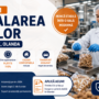 Ambalarea nucilor în Olanda – Nieuwkuijk | 14,99 €/oră brut | Program de zi | Cazare și transport asigurate