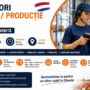 Muncitori Depozit / Producție Olanda – Contract Olandez | 2.000 – 2.600 €/lună