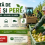Recoltă Mere și Pere în Olanda – Muncă în Livadă, Rilland | €14,99/oră